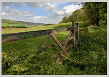Farm gate near Albury by Martin Finnis