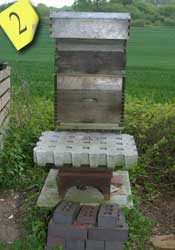 A 'National' Bee Hive