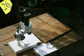 Microscope used to identify intruders