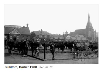 Guildford Cattle Market 1924