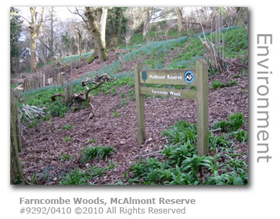Farncombe Woods, McAlmont Reserve at Farncombe Hill