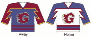 Guildford Flames jersey