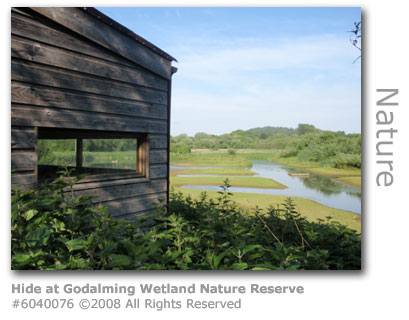 Bird-watching Hide at Godalming Wetland Nature Reserve 