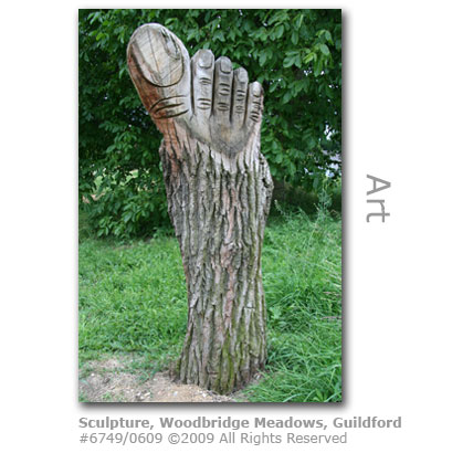 Sculpture in Woodbridge Meadows, Guildford