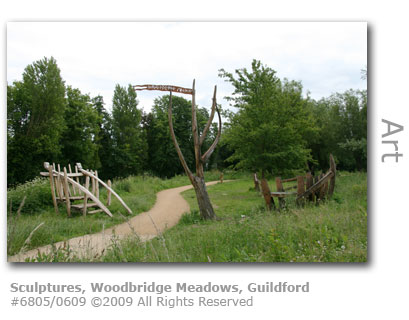 Sculptures at Woodbridge Meadows, Guildford