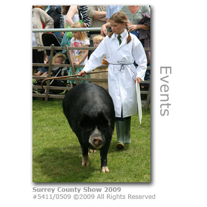 Surrey County Show 2009 exhibitor