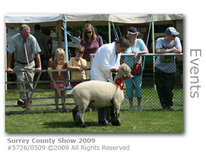 Surrey County Show exhibitor 2009