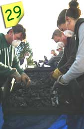 Shovelling charcoal from the kiln