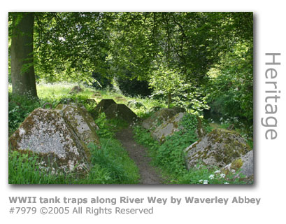 WWII tank traps by River Wey at Waverley Abbey
